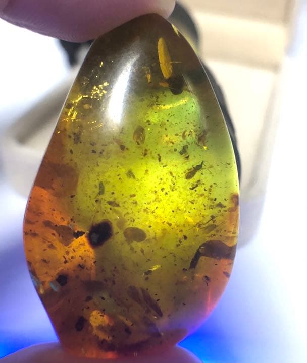 虫本琥珀 虫入りアンバー 即納 琥珀 ユニーク 天然石 宝石 化石