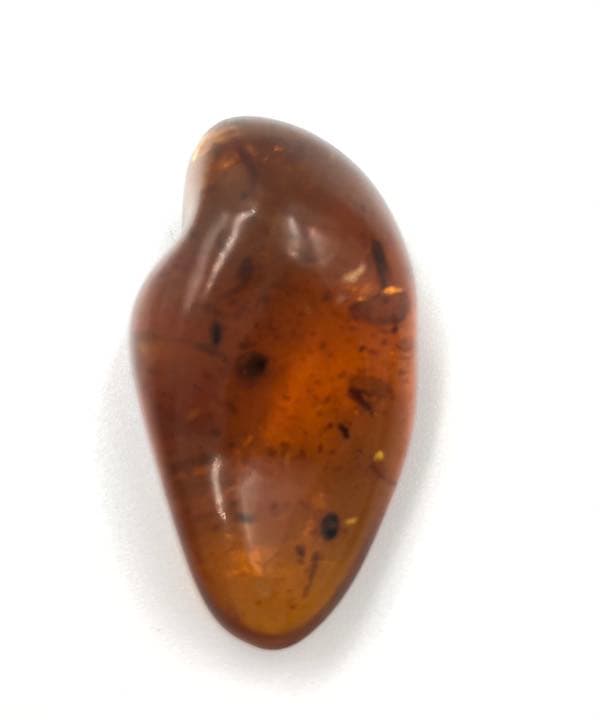 虫本琥珀 虫入りアンバー 即納 琥珀 ユニーク 天然石 宝石 化石