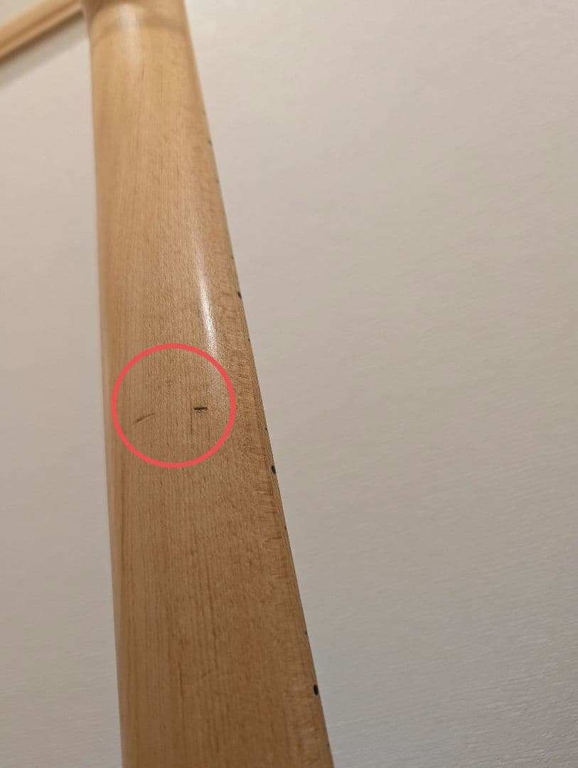 【激鳴り！】STORM ストラトキャスタータイプ