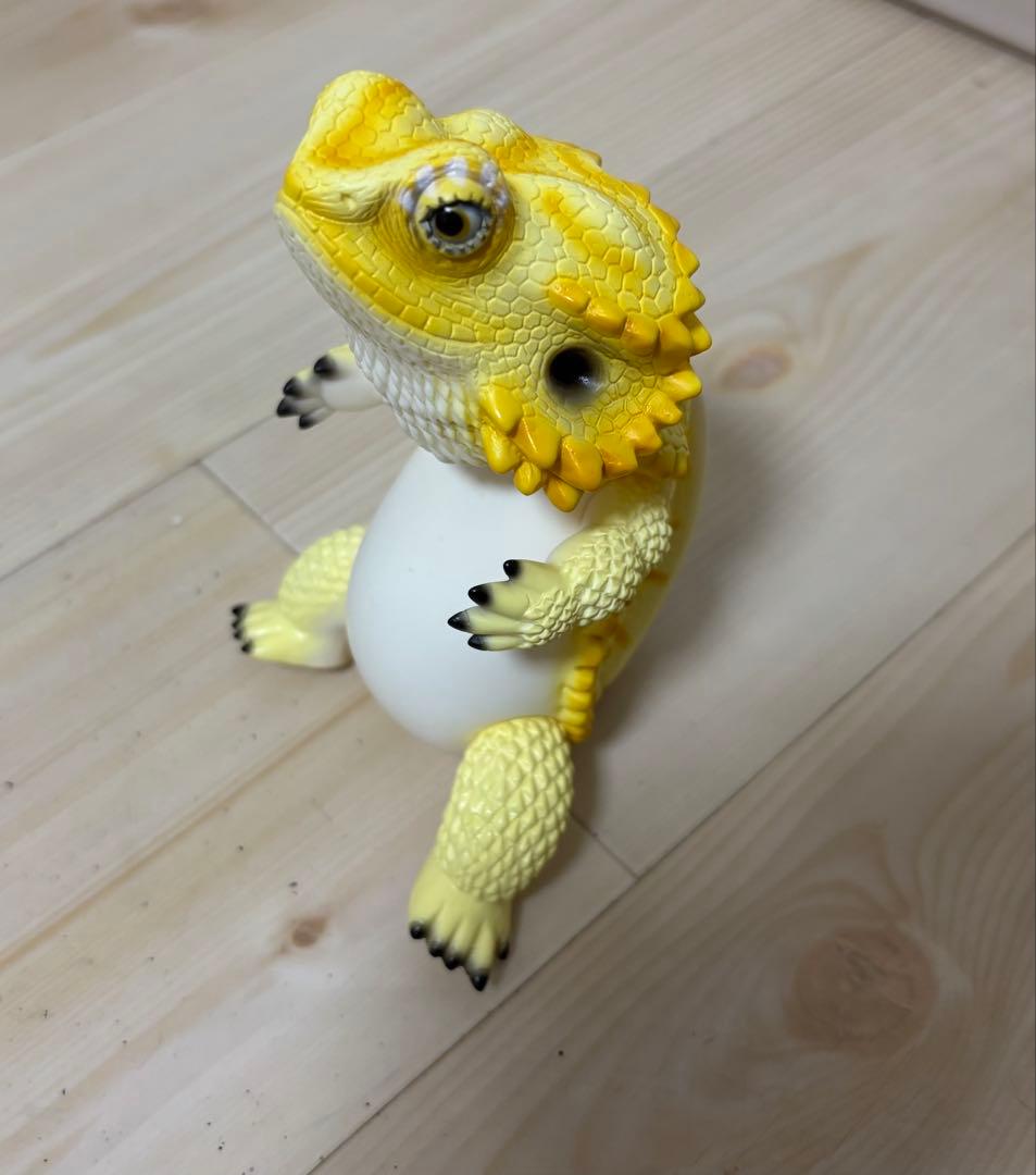 フトアゴン　4体セット