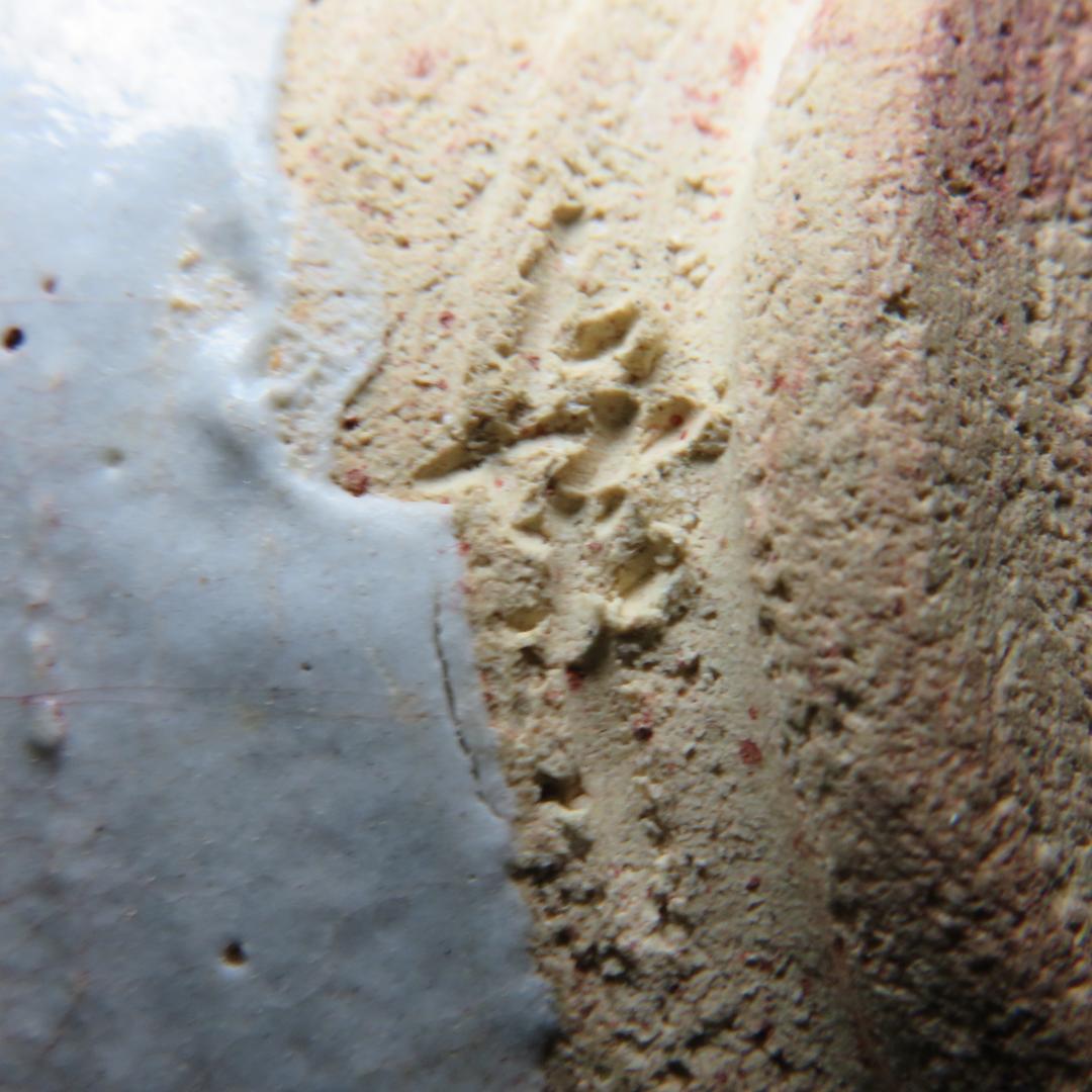 茶碗 志野 高橋幸庵 抹茶碗 共箱 木箱 茶道具 茶器 在銘