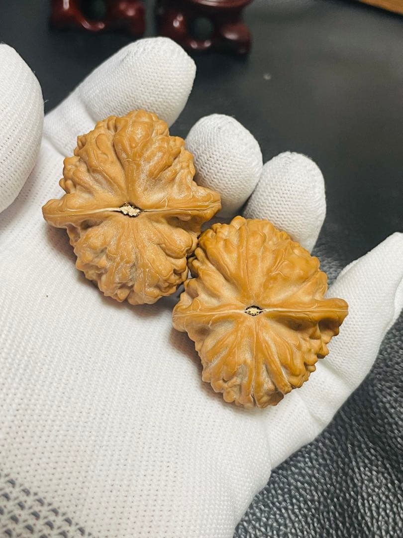 No.412❤️遊ぶクルミ　文玩核桃 希少変高級種山玖月元宝