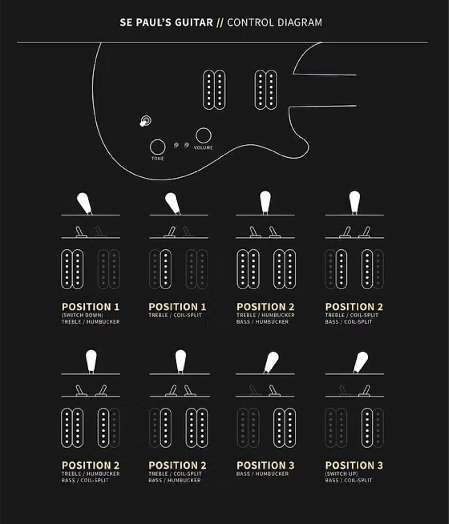 PRS SE Paul's Guitar ポールリードスミス　ポールズギター