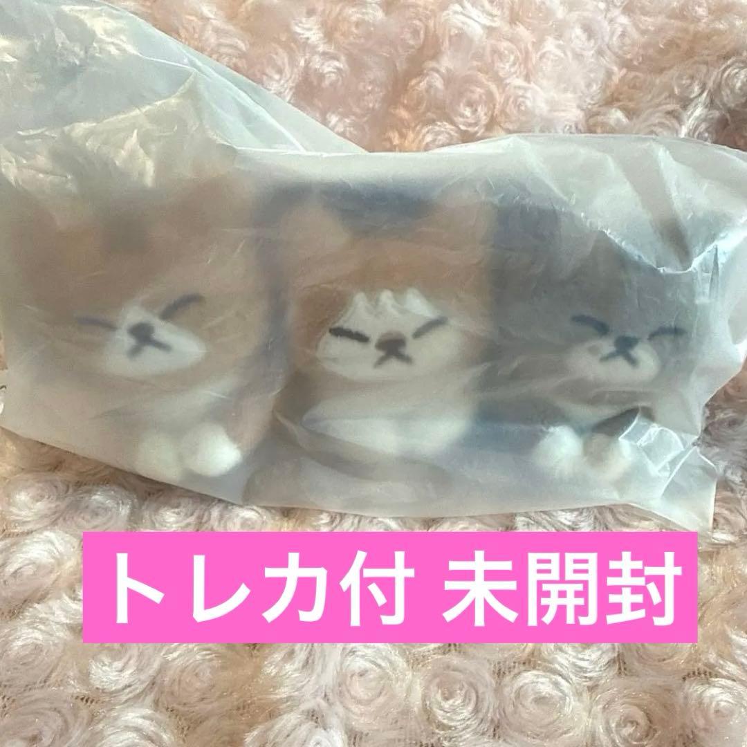 stray kids スキズ リノ スンドゥンドリ キーリング