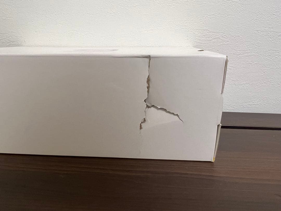 UA Curry Flow 9 新品 バッシュ 29.5cm 箱破損あり