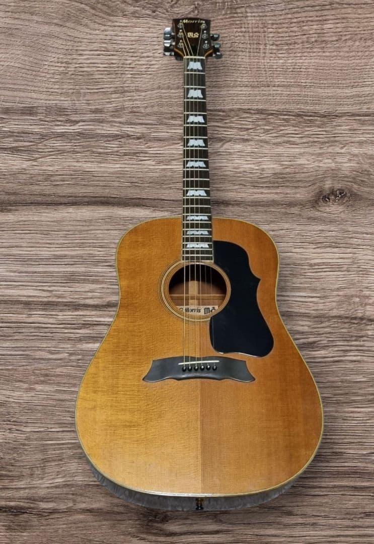 Morris MG-50 アコースティックギター ギター モーリス 楽器