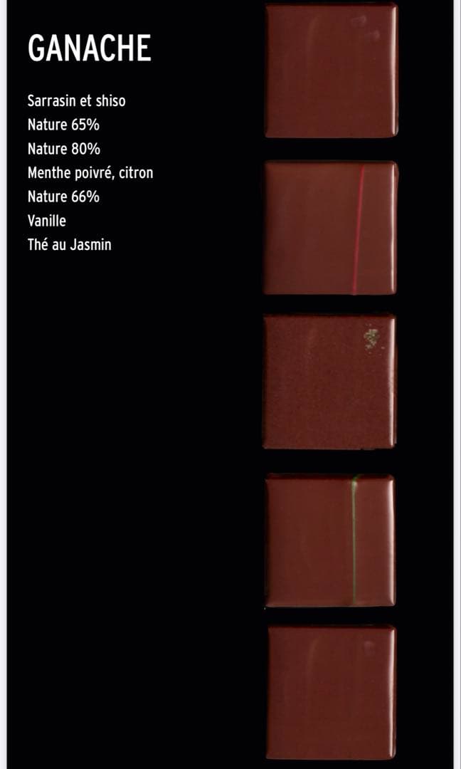 Patrick roger ショコラアソート　4個入り　2箱セット