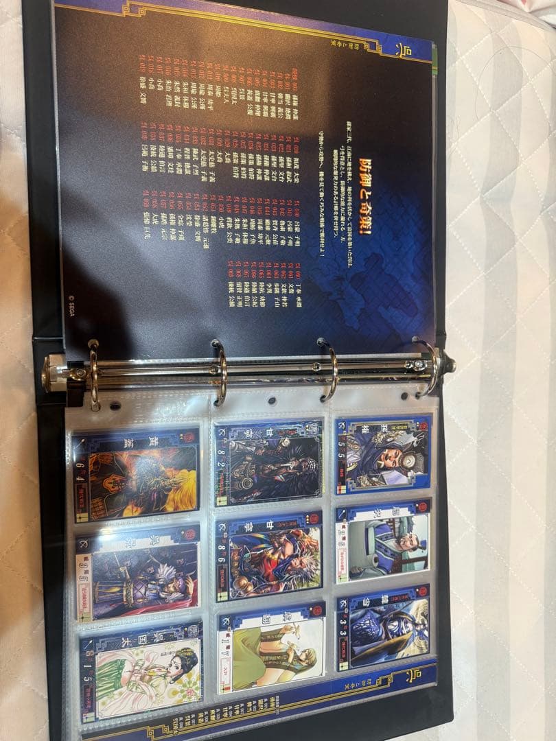 ゴ*ヤ様 三国志大戦2 カードバインダー　カード338枚コンプリート