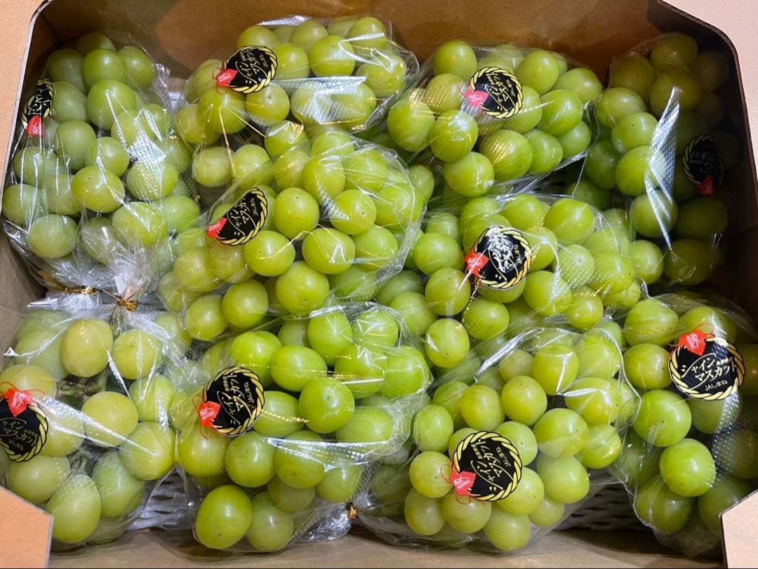 ⑧【島根県産】シャインマスカット約5キロ