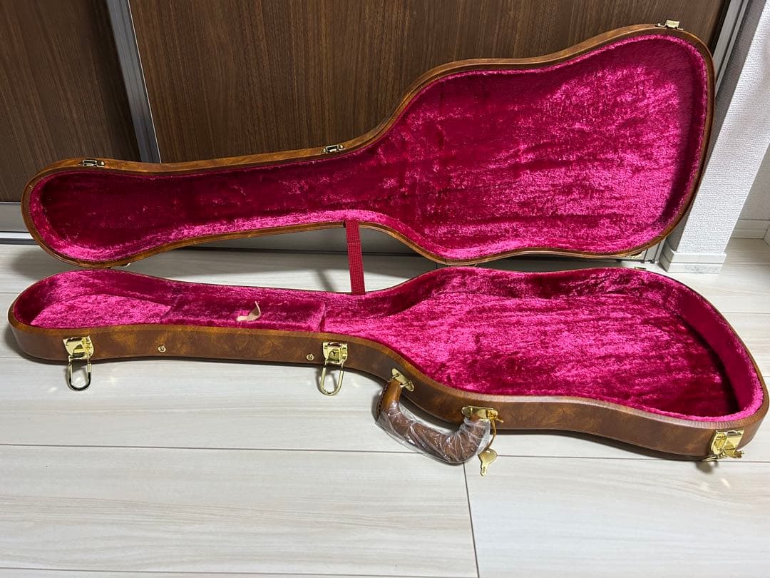 ギター Bruno Guitars TN-295 gold