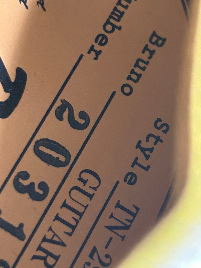 ギター Bruno Guitars TN-295 gold