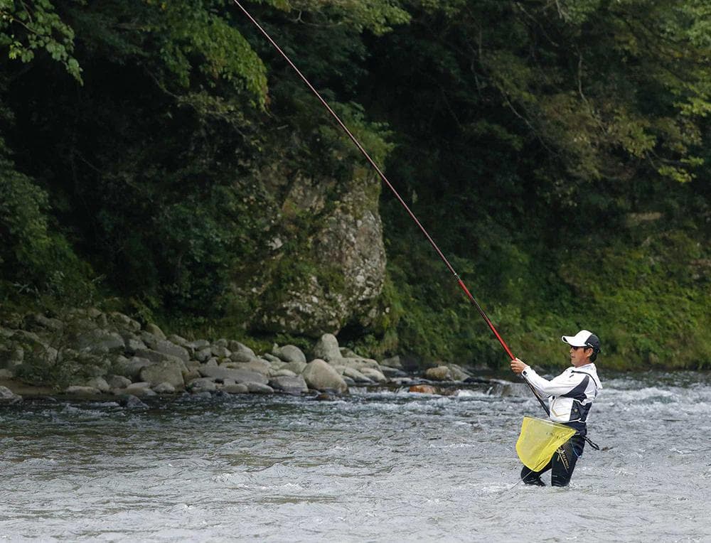 SHIMANO　プロセレクト RS　85【新品】鮎竿　鮎　釣り　ロッド
