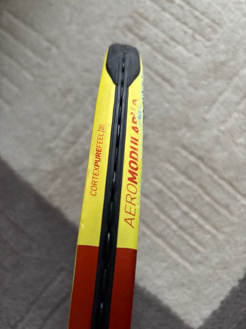 ピュアアエロ2019 RG