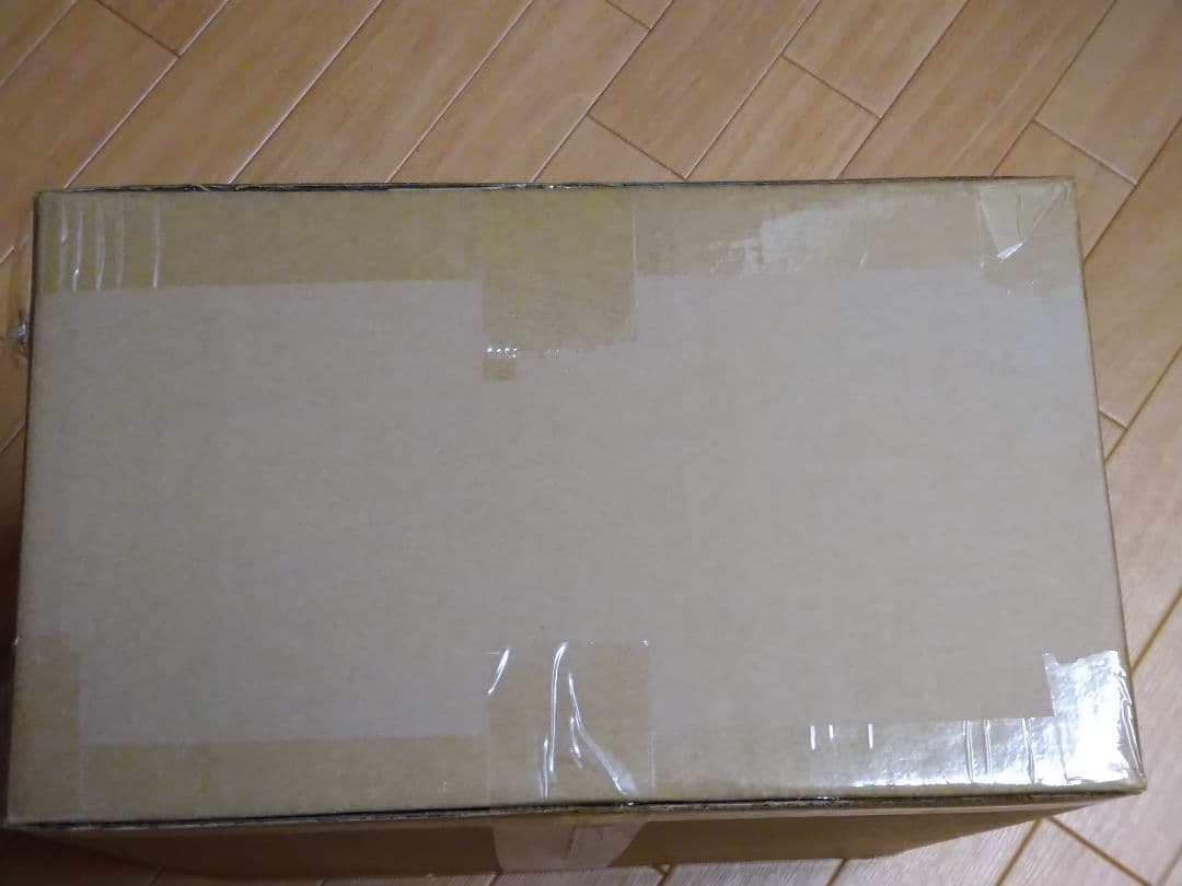 ゴジラ・ストア限定　スーパー東宝30cmシリーズ　ゴジラ（1999）　新品未開封