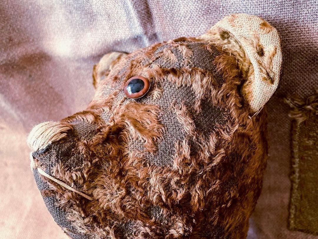 フランス　ブラウン　ヴィンテージベア　アンティークベア　JPM