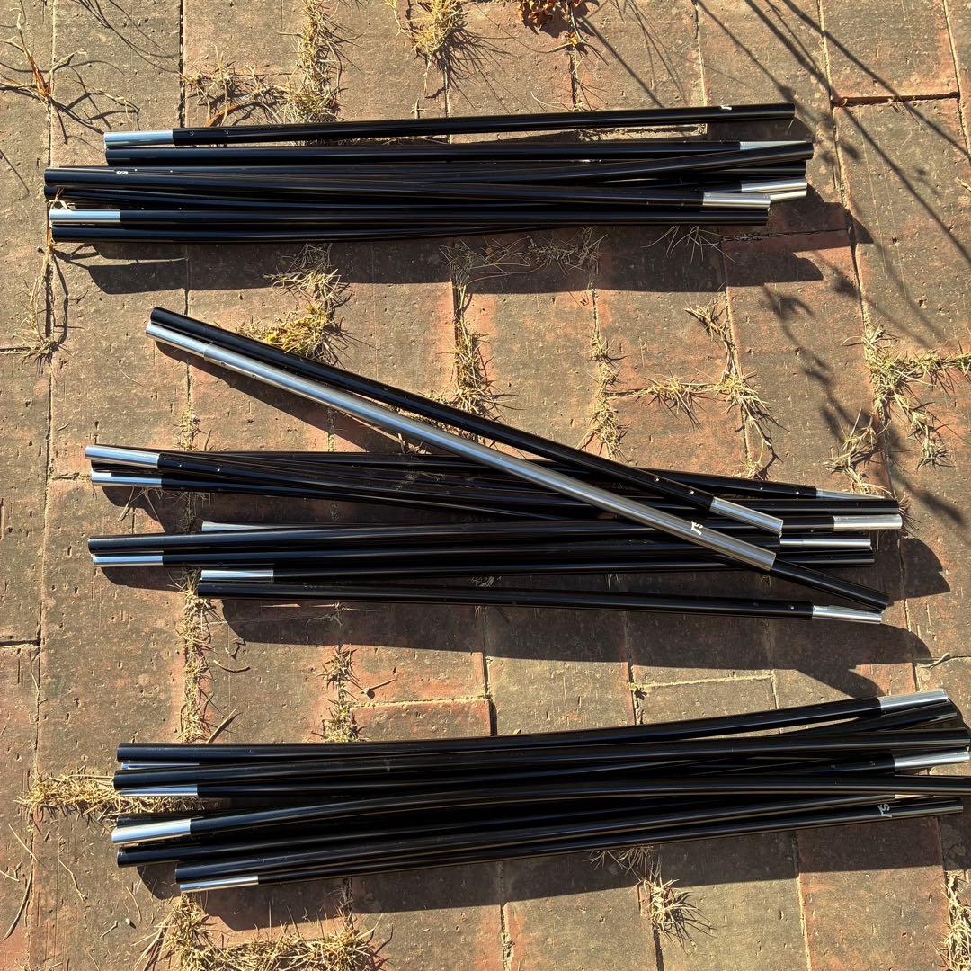 サバティカル　ギリア