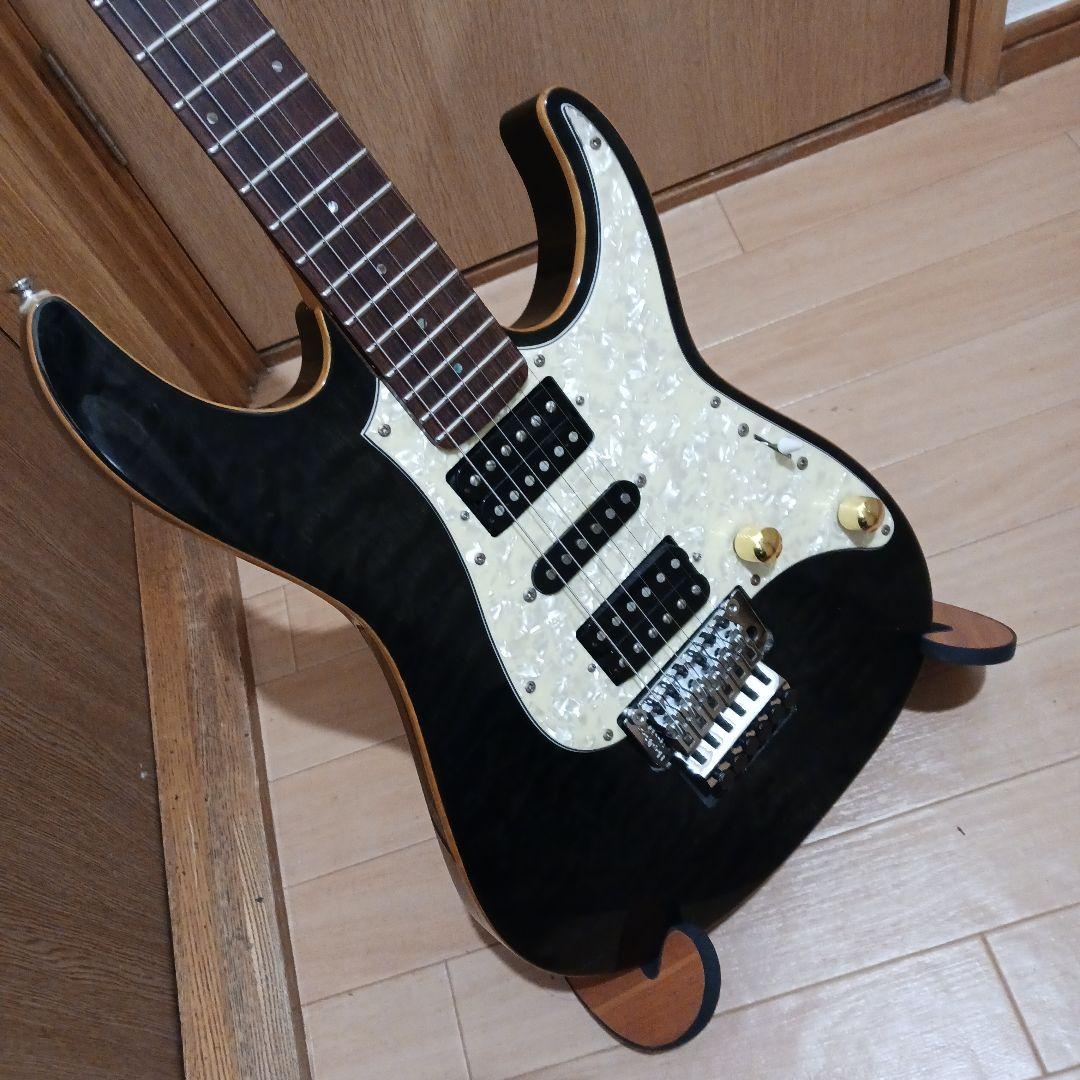 grass.Roots.エレキギター＆ソフトケース