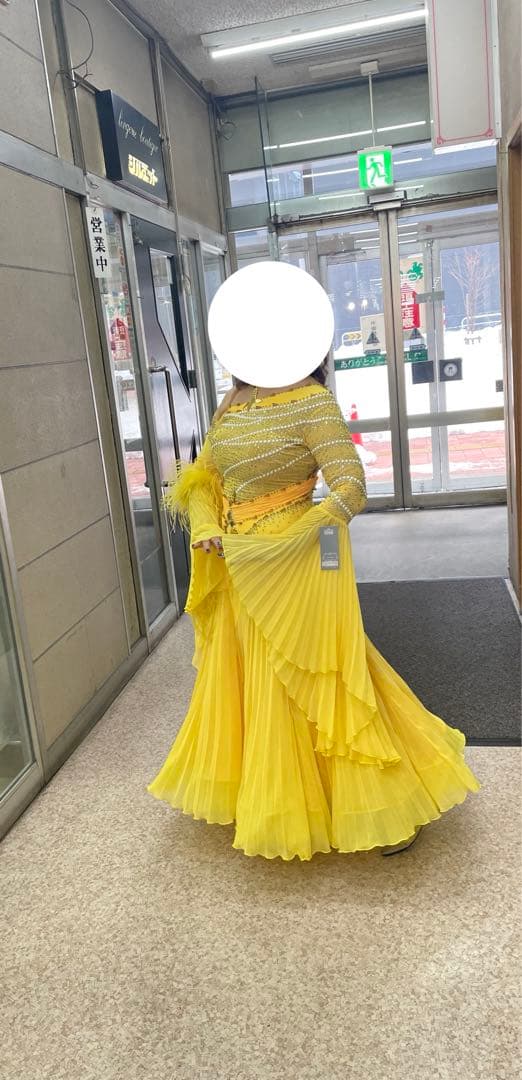 社交ダンス　スタンダードドレス　デモ用