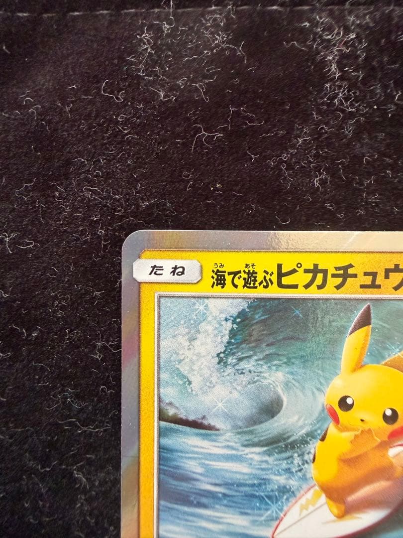 海で遊ぶピカチュウ：My251ポケモンセンター真夏のピカピカ大作戦キャンペーン②