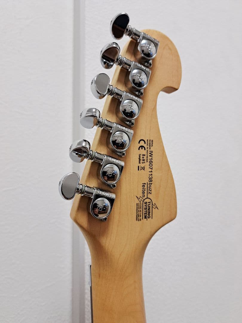 ギター Washburn N24 Alder padauk