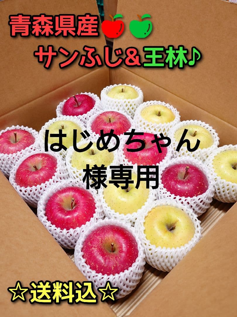 【送料込】青森県産サンふじ＆王林贈答用約5kg(14〜16個)×2個