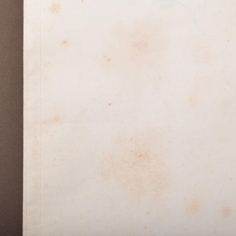 掛軸　大徳寺　柴野　長谷川寛州筆　立雛図　「桃花千歳春」　共箱　C　7738A