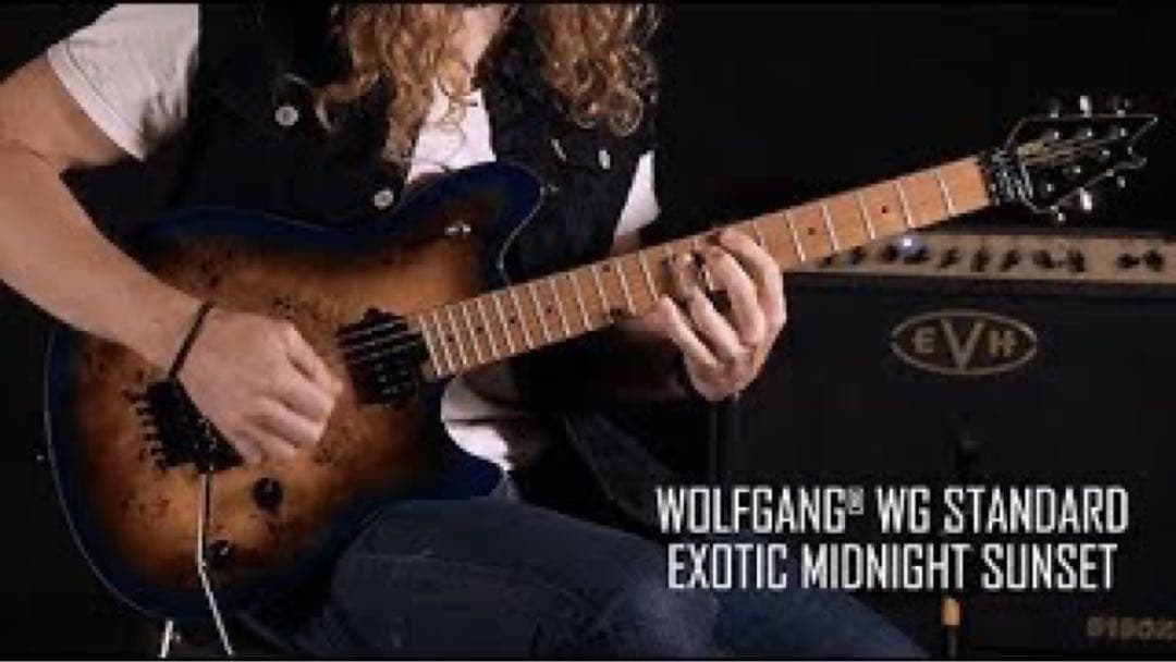 EVH Wolfgang WG Standard ウルフギャング ギター