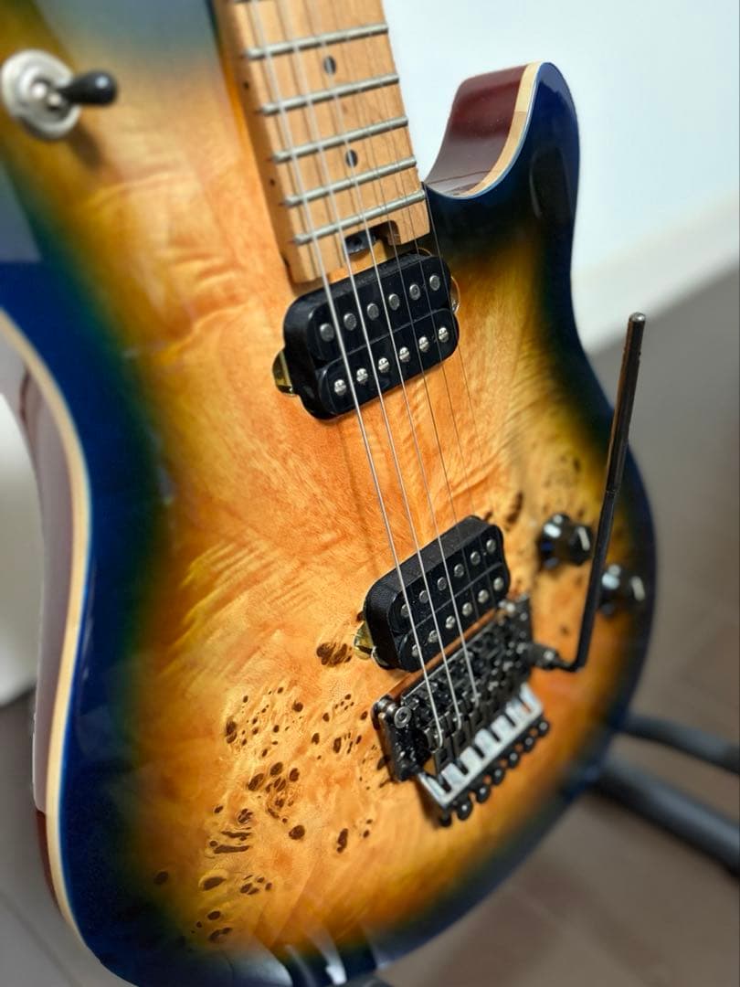 EVH Wolfgang WG Standard ウルフギャング ギター