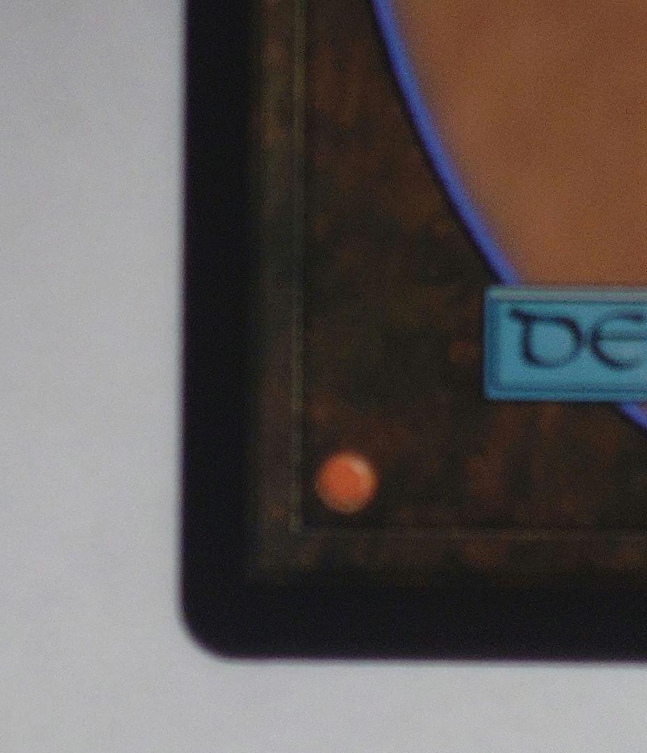 嵐の討伐者、エルズペス　日本語　ハローfoil