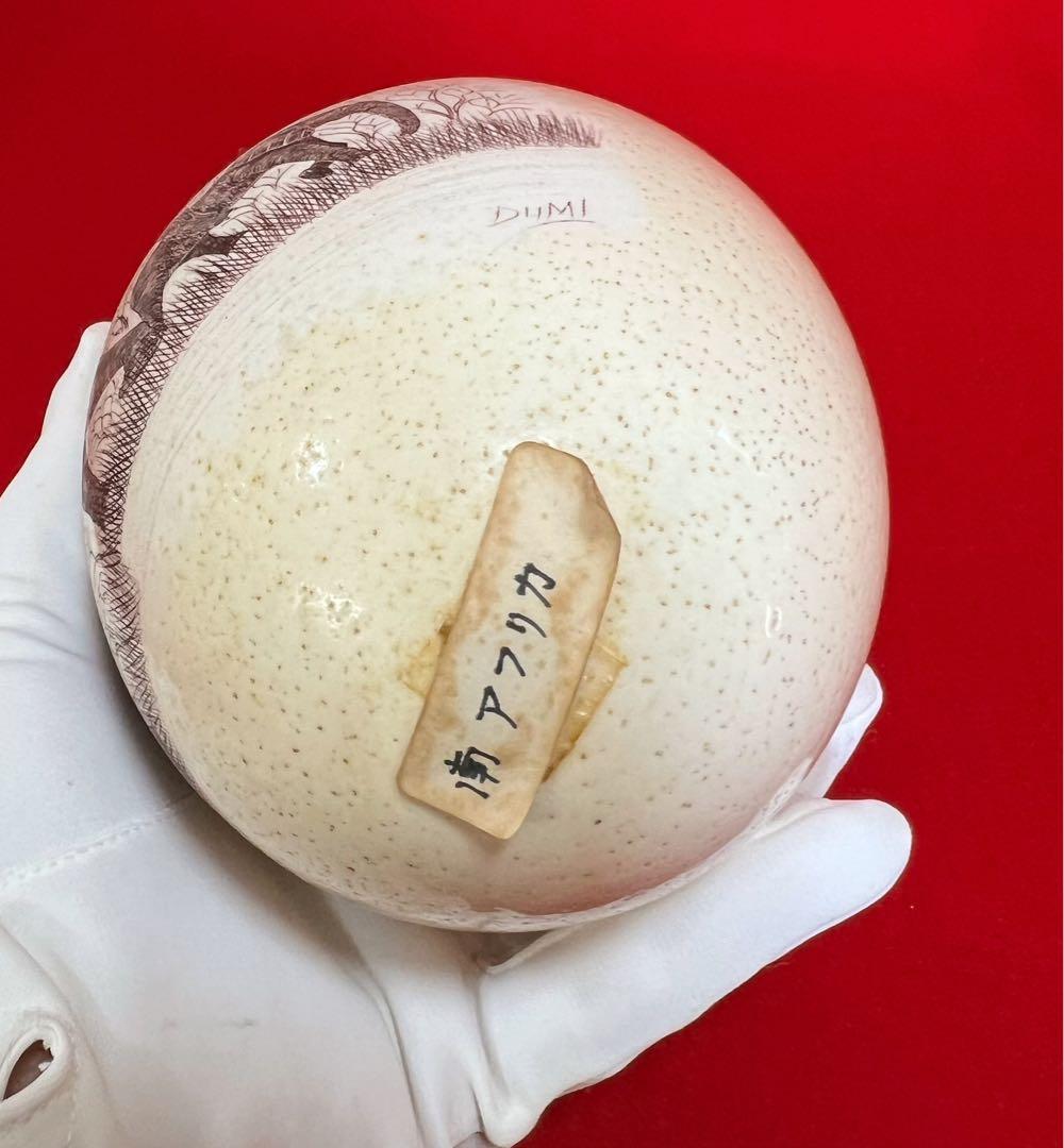 美術品 ダチョウ卵彫刻 置物 在銘 南アフリカ產