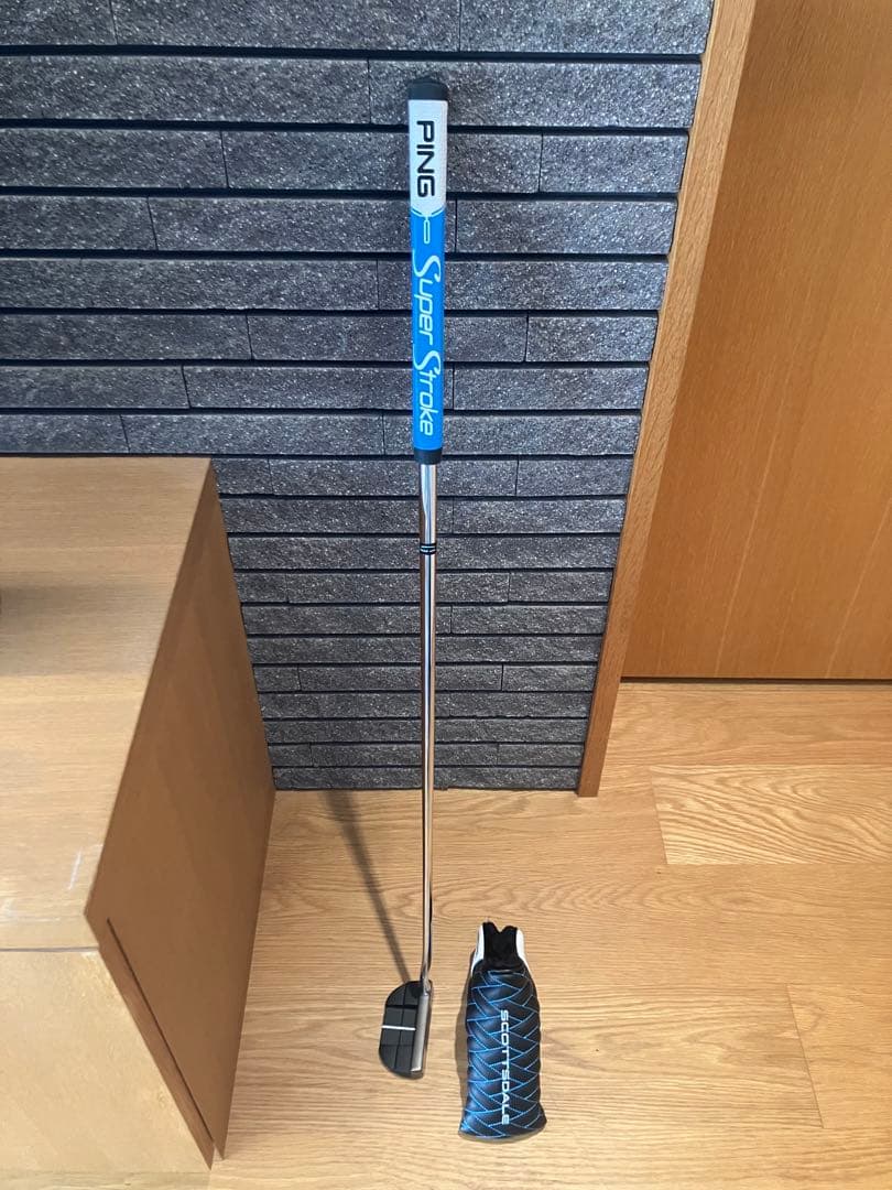 【超美品】PING DS72 パター