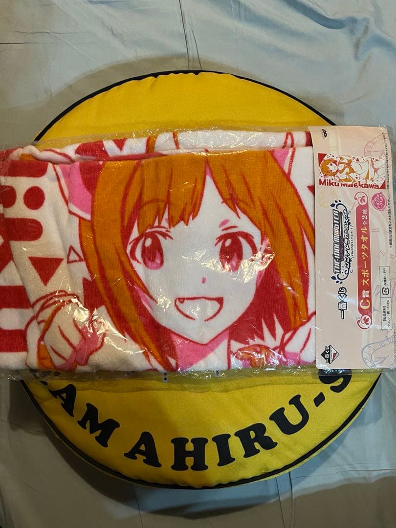 小梅ちゃんさま専用 スポーツタオル&マーフィー