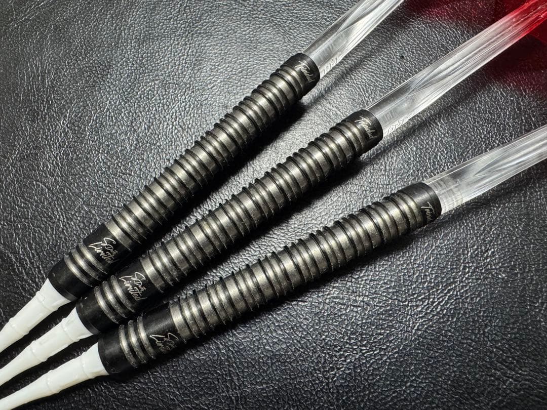 激レア トリニダード ゴメス10 山田勇樹 エスダーツ限定 シルバー×ブラック