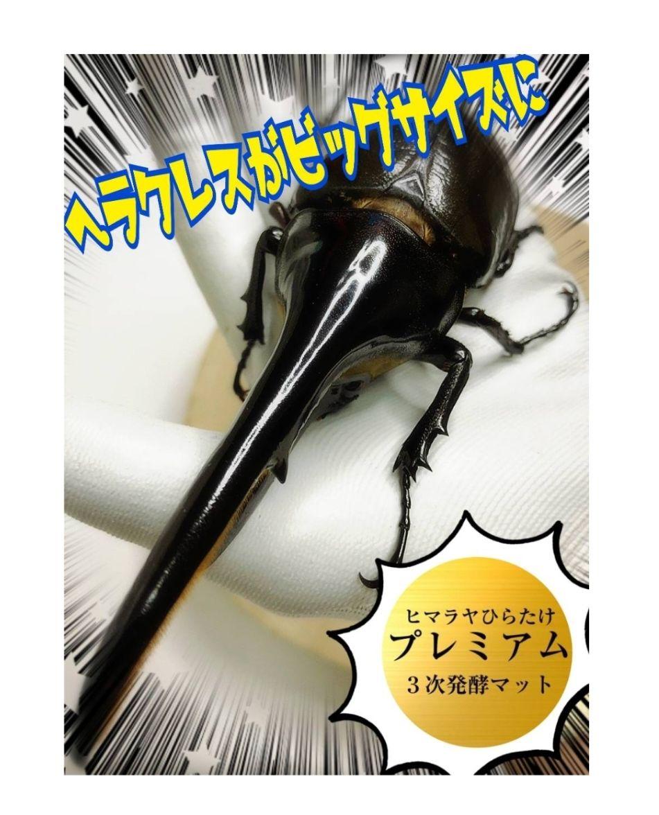 大好評！特選プレミアム3次発酵カブトムシマット【50L】特殊アミノ酸強化配合！