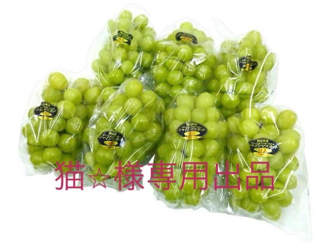 猫⭐︎出品　特大粒　高級シャインマスカット5kg