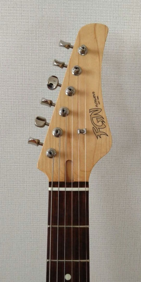 ギター FUJIGEN Boundary Iliad BIL2-G-HH BLACK