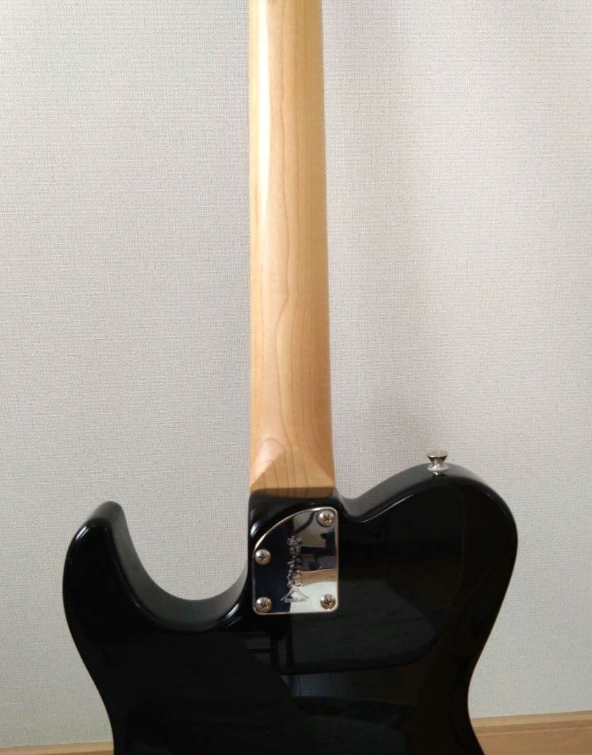 ギター FUJIGEN Boundary Iliad BIL2-G-HH BLACK