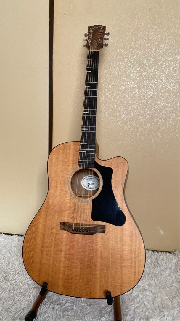 ギター Gibson G-Writer EC
