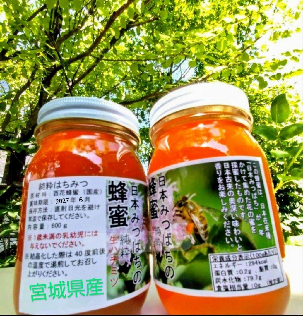 日本蜜蜂 生蜂蜜 ミツバチ 純粋 ニホンみつばち 非加熱 #6 宮城県産