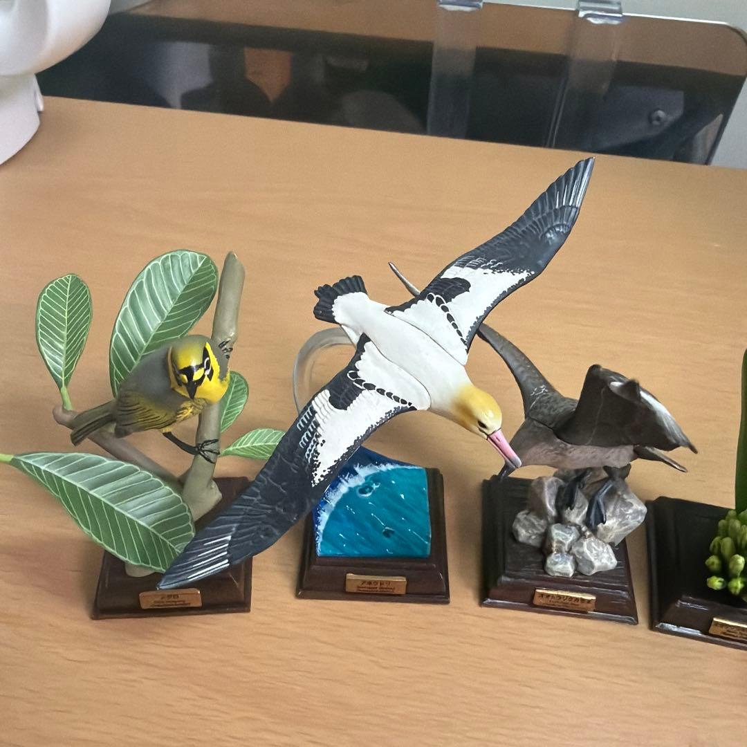 ネイチャーテクニカラー　オガサワラコウモリ　メジロ　トウゾクカモメ　ティラノ　小