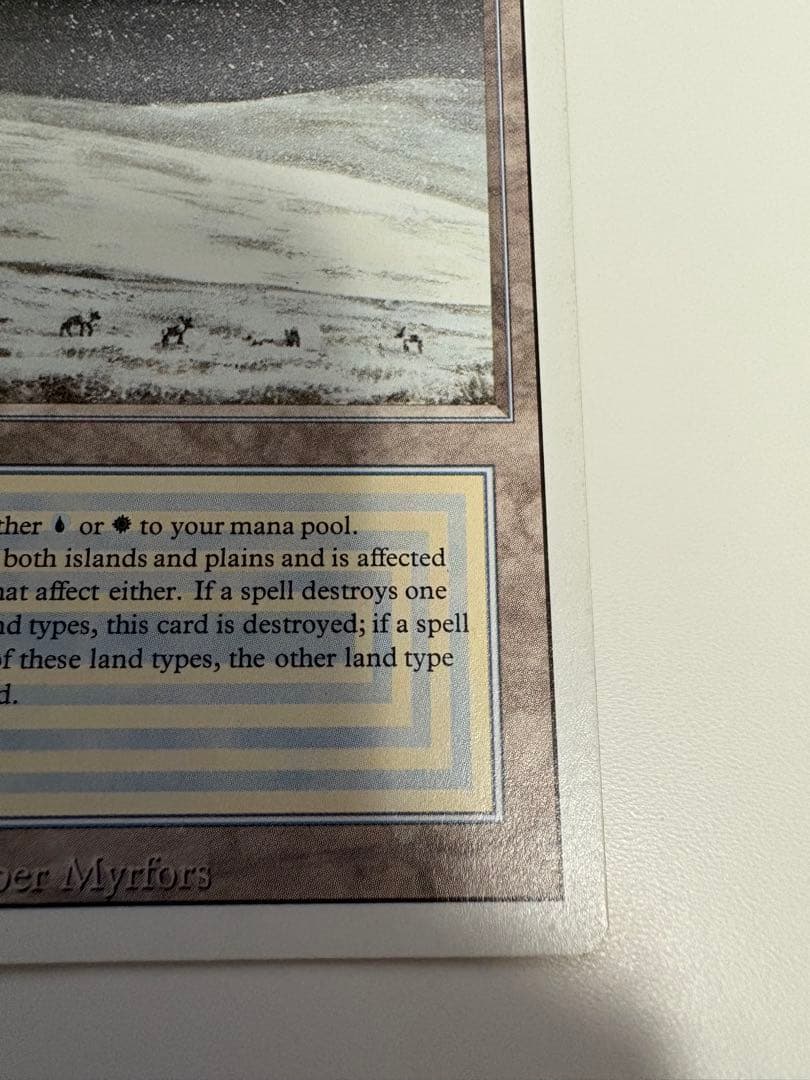 マジック：ザ・ギャザリング Tundra poor