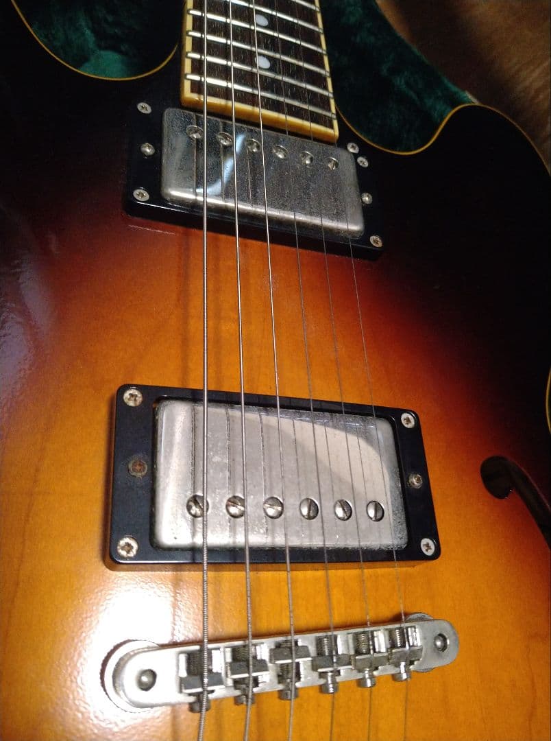 Edwards E-SA セミアコ