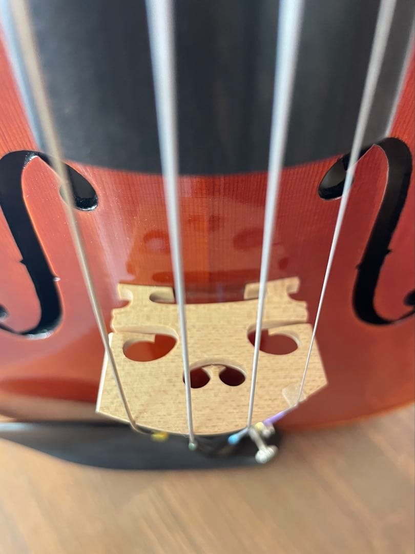 Jay Haide Ifshin Violins 2012 4/4 弓・ケース付