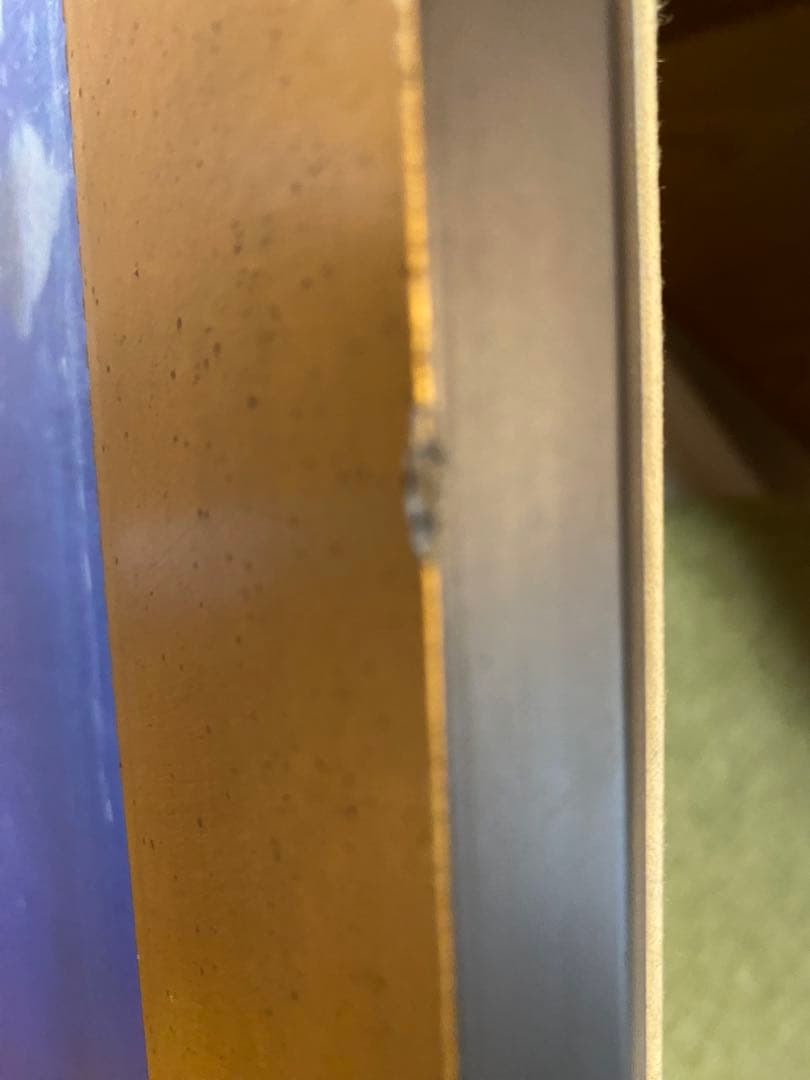 アリエル　マーメイドラグーン