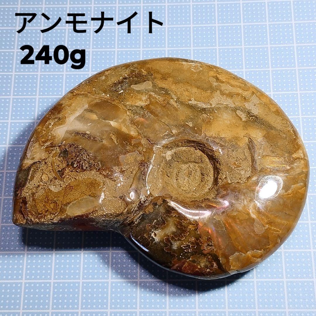240g アンモナイト 化石 アンモライト オパール化 本物 原石 鉱物標本