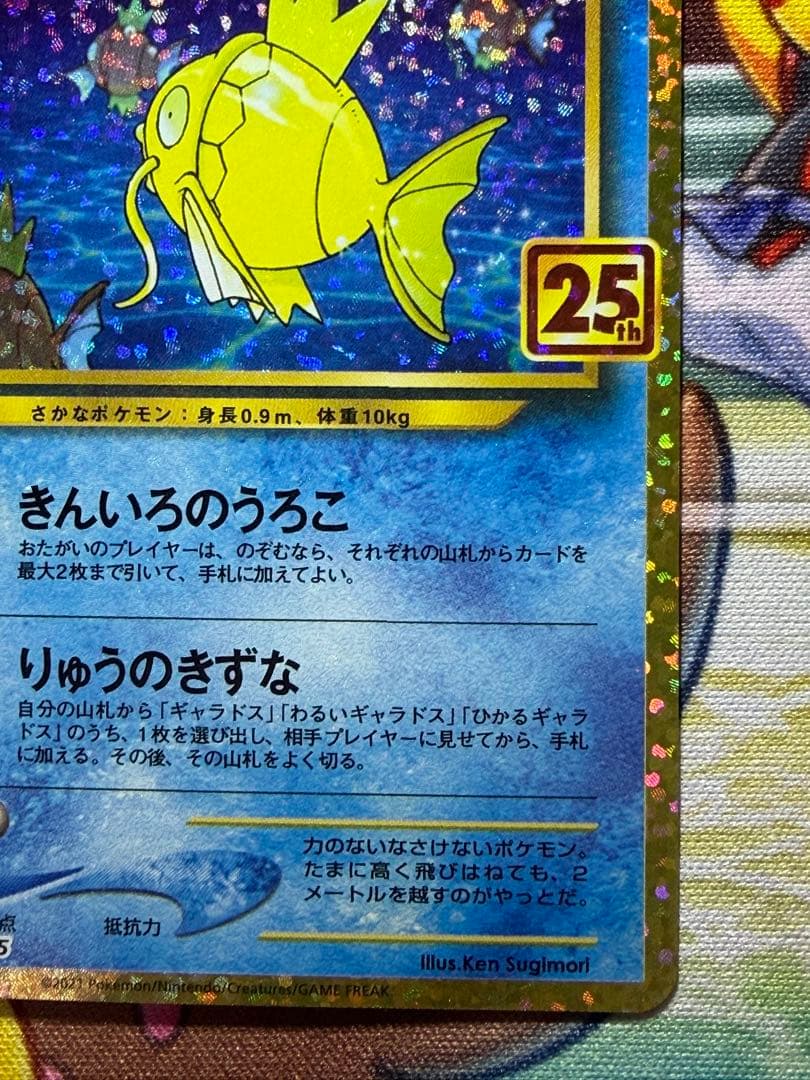 ひかるコイキング25th