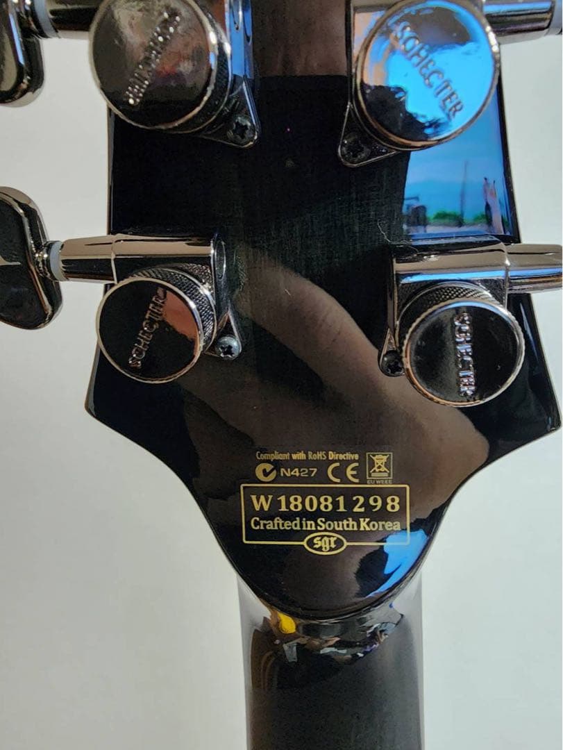 値下げ最後Schecter Diamond Series Hellraiser