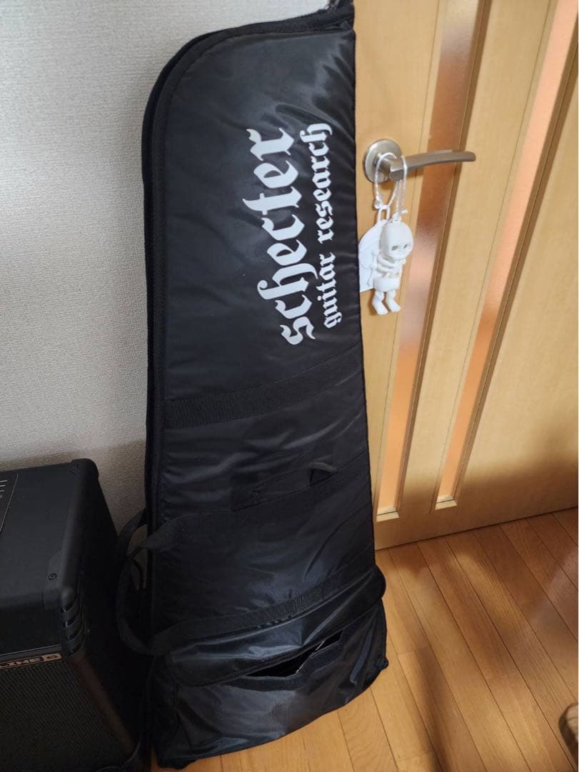 値下げ最後Schecter Diamond Series Hellraiser