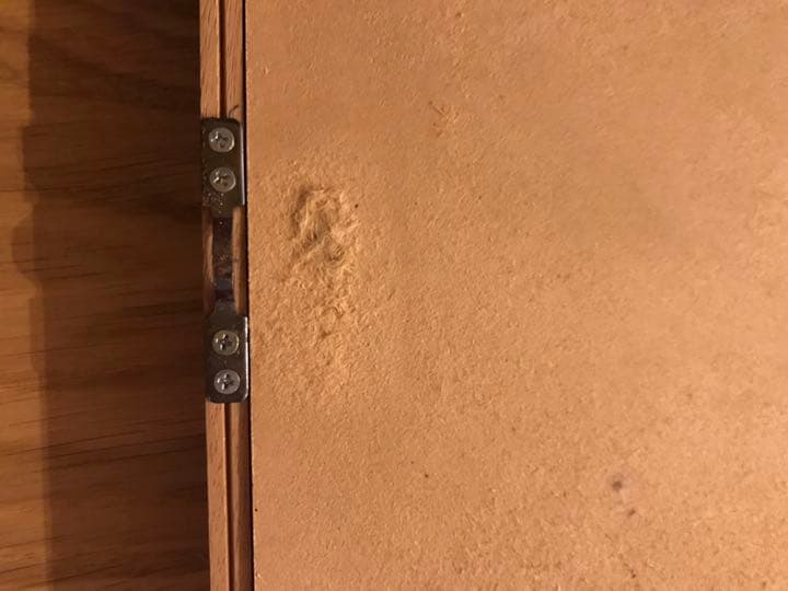 伊藤尚美さんの作品