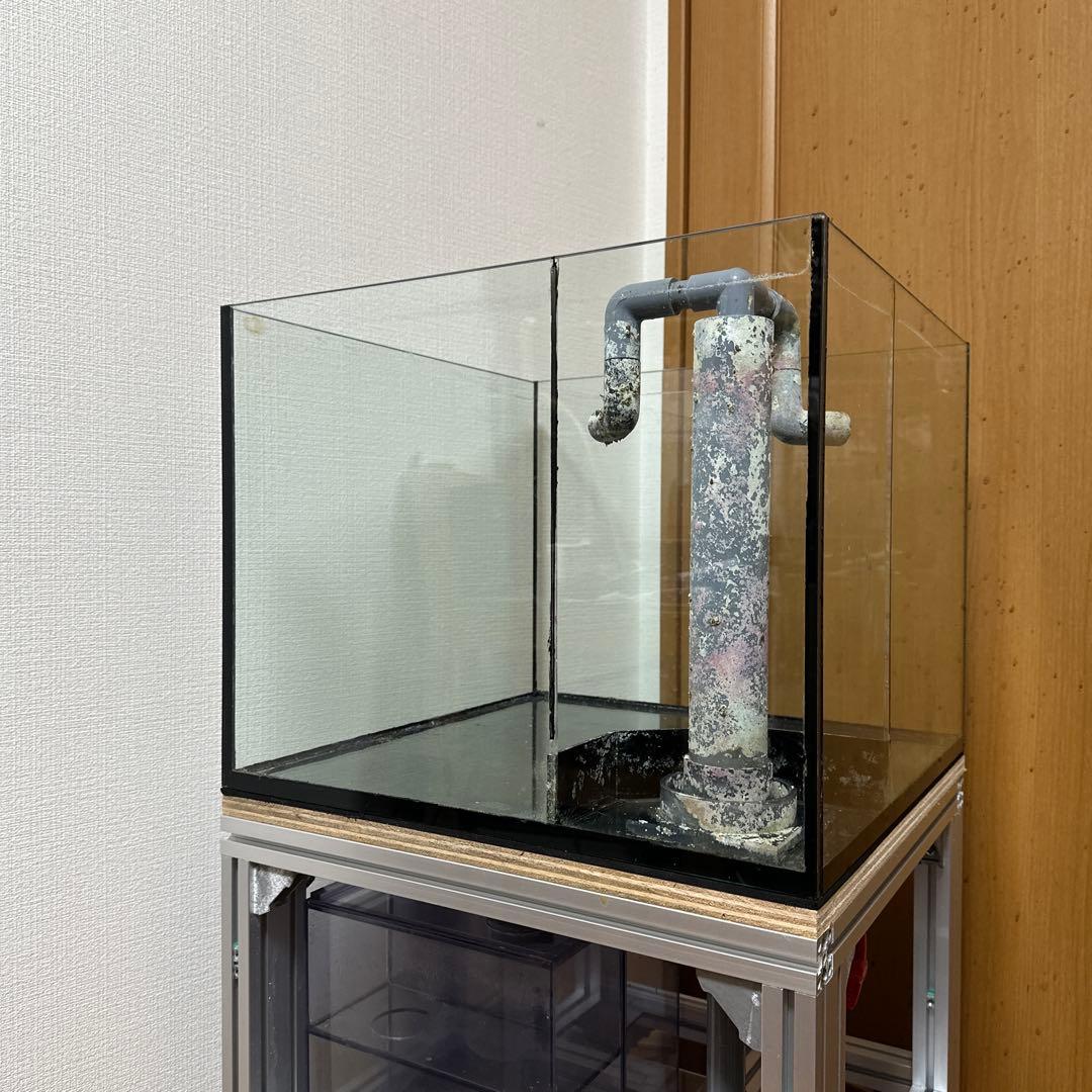 45cmオーバーフロー水槽